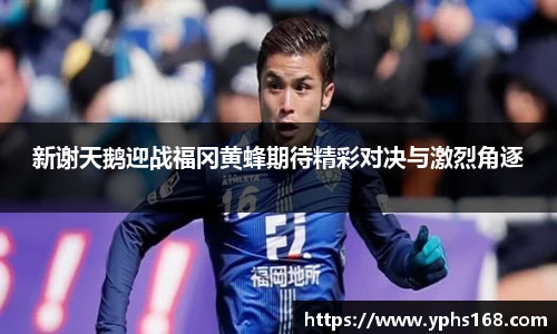 新谢天鹅迎战福冈黄蜂期待精彩对决与激烈角逐