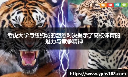 6688体育