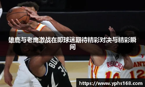 雄鹿与老鹰激战在即球迷期待精彩对决与精彩瞬间